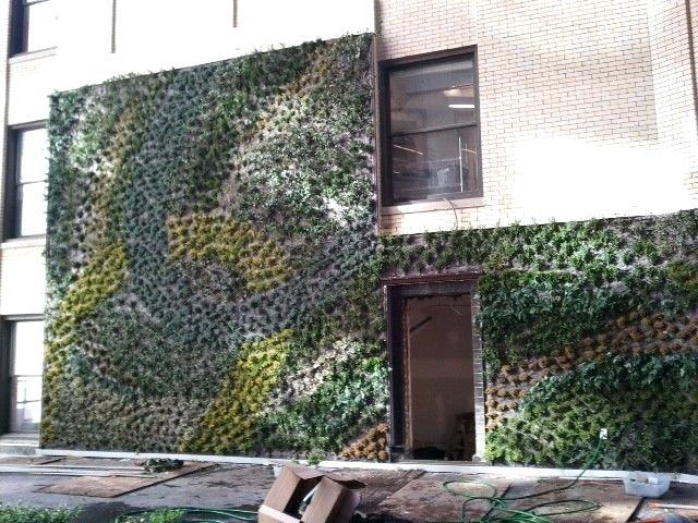 living wall outdoor