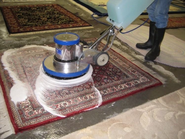 We can help you clean your carpet by removing all kinds of odors caused by  accidents in the house and pet odor in general