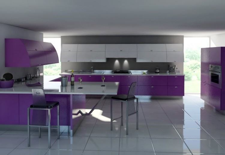 view in gallery purple kitchen ideas decorating