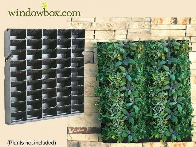 outdoor living wall