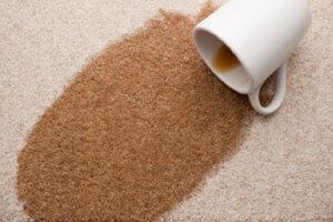 Full Size of 3 Types Of Carpet Stains Different Padding Double Choosing  Wells As Care Tips