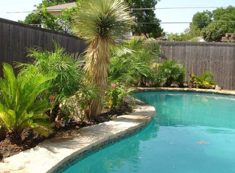 pool design ideas