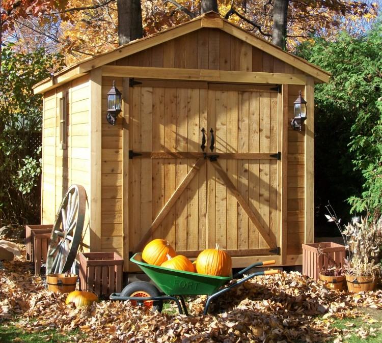 backyard shed living space