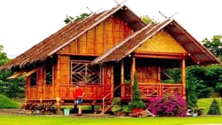 bamboo house design