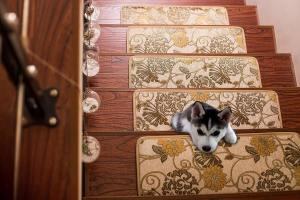 what is the best type of carpet for stairs best type of carpet for stair  runner