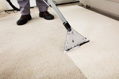 If  you are looking to hire professional carpet cleaners, you want to be 100  percent