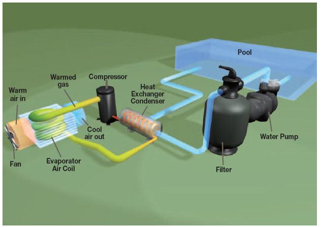 Pool Filtration System How The Natural Swimming Pool Filtration System  Works Chemical Free Maintenance Free Other Than Weeding I Guess Swimming  Pool Pump