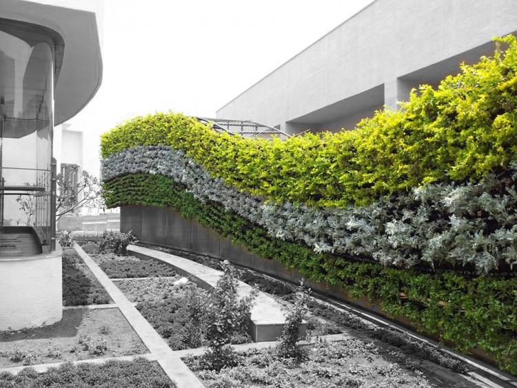 The designers at AECOM included green walls around the  perimeter of