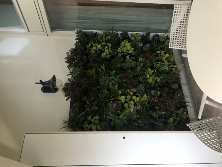 They have installed two NextGen Living Walls with a beautifull design and  variety of soil plants